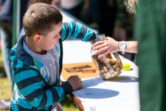 piknik-pio-rymanow-2019-010