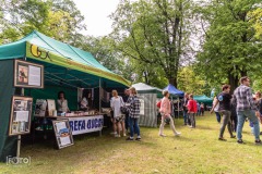piknik-pio-rymanow-2019-099