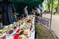 piknik-pio-rymanow-2019-117